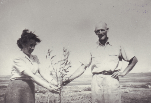 Auch Erich emigrierte nach Israel und gründete eine kleine Siedlung. Auf dem Foto von 1948 pflanzt er mit seiner Frau Channa, geborene Rubinowitsch, die ersten Bäume auf seinem Land. Bild: Stadtmuseum Oldenburg/Slg. Friederichsen