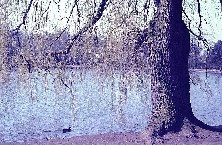 Dobbenteich um 1990 © Stadtmuseum Oldenburg