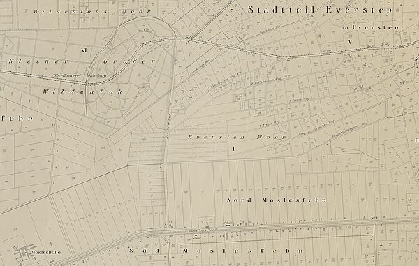 Auf diesem Ausschnitt von Blatt 3 der Katasterpläne „Stadt Oldenburg und Umgebung“ von 1920 sind deutlich die genauen Einteilungen der Moorgrundstücke (Kolonate) im Everstenmoor, sowie nördlich und südlich des Hunte-Ems-Kanals (Nord- und Süd-Moslesfehn) zu erkennen. Bild: Stadtmuseum Oldenburg.
