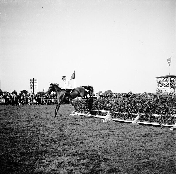 Rennwoche: Springreiten, um 1936. Bild Kurt Wehlau/Stadtmuseum Oldenburg.