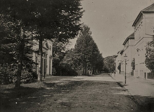 Ein frühes Foto des Theaterwalls, links das Theater, um 1881. Bild: Stadtmuseum Oldenburg