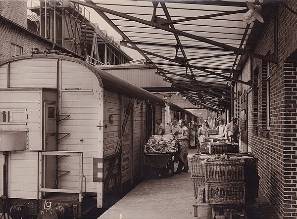 Auf der Laderampe verladen Fleiwa-Mitarbeiter Fleisch für den Transport in Kühlwagen, um 1930. Bild: Stadtmuseum Oldenburg/Gustav Tahl.