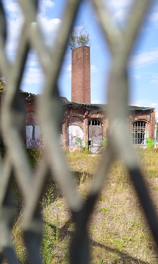 Die Natur nimmt Überhand und sprießt durch den Schornstein in die Höhe, 2022. Bild: Privat.